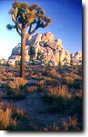 Climbing Photo